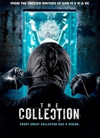 The Collection (DVD)