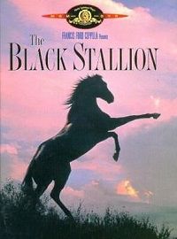 The Black Stallion (DVD) (1979) The Black Stallion (DVD) (1979)