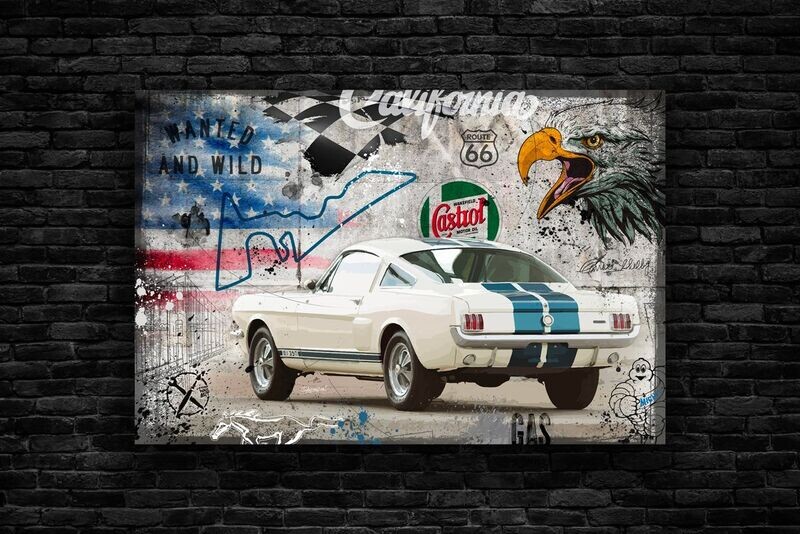 Shelby 65