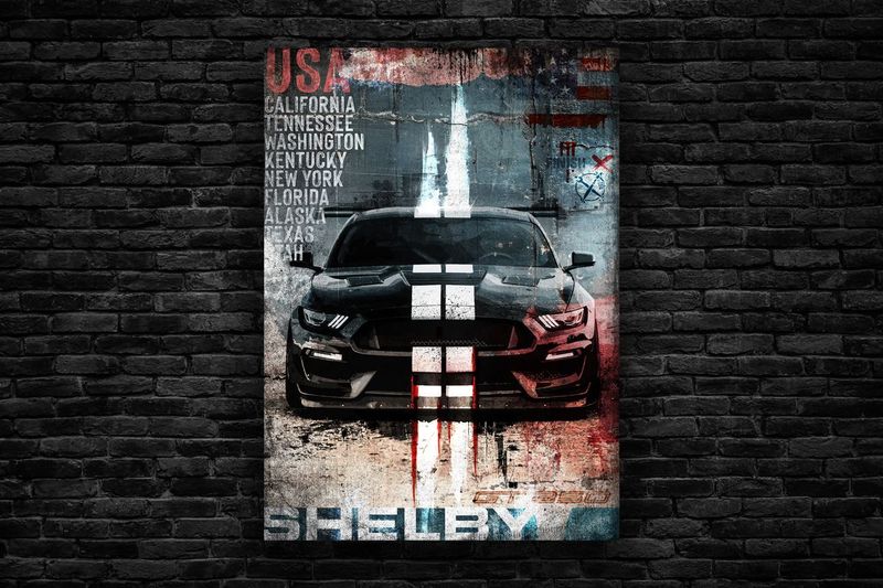 ART SHELBY 350
