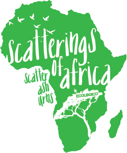 Scatterings of Africa
