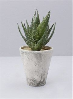 Aloe Faux Potted Mini Plant