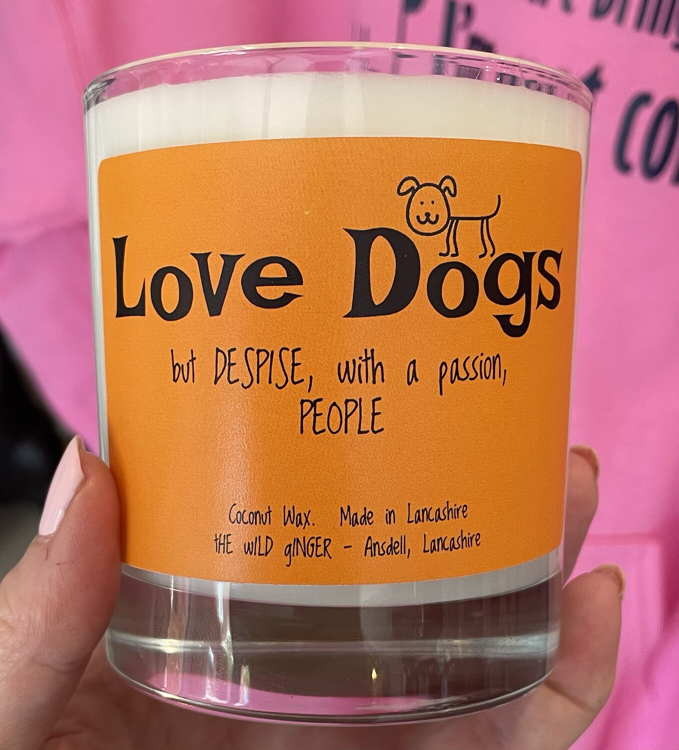 Quirky - "Love Dogs ... despise people " Candle (Large)