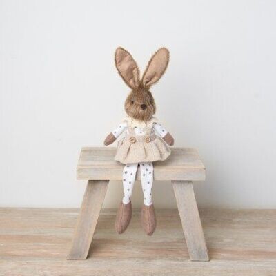 Sitting Bunny Rabbit