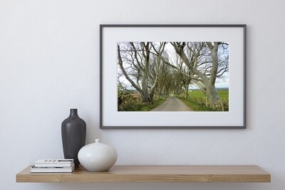 The Dark Hedges Print