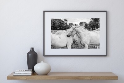 Twin Flame Print