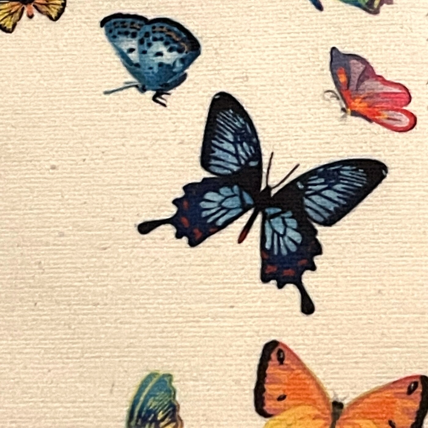 Mera Chenille 400gsm 100% Polyester