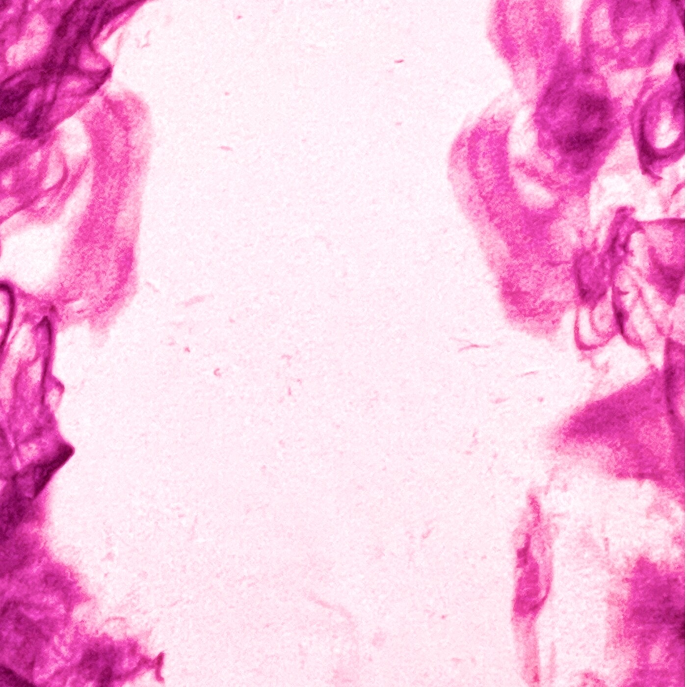 Nebraska 100% Recycled Velvet 379gsm 100% Polyester