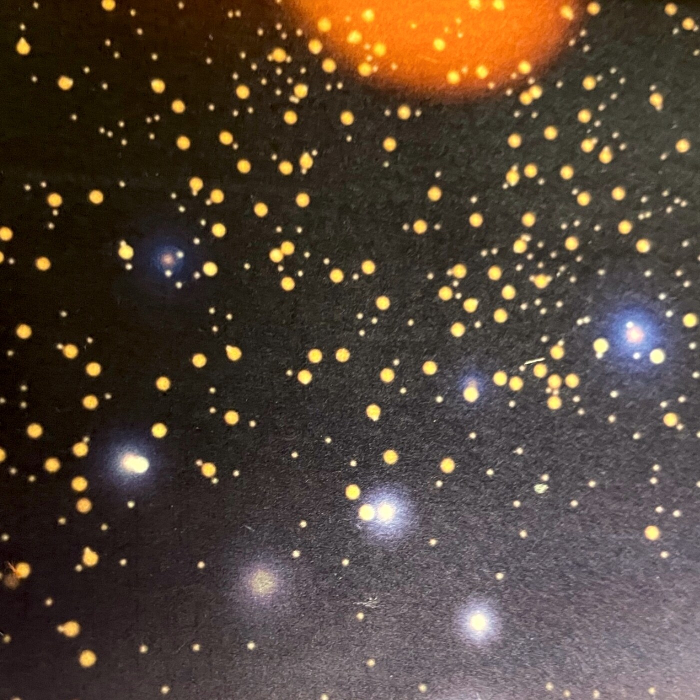 Polar Fleece 290gsm Brushed Face Textile 100% Polyester