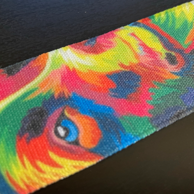 Knitted Elastics