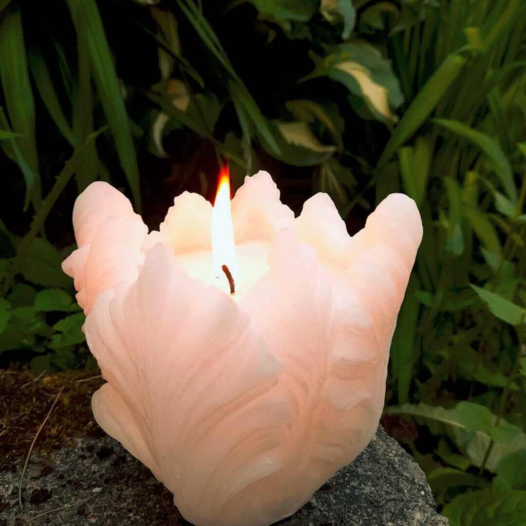 Silvia kynttilä, valkoinen paloaika 50 h