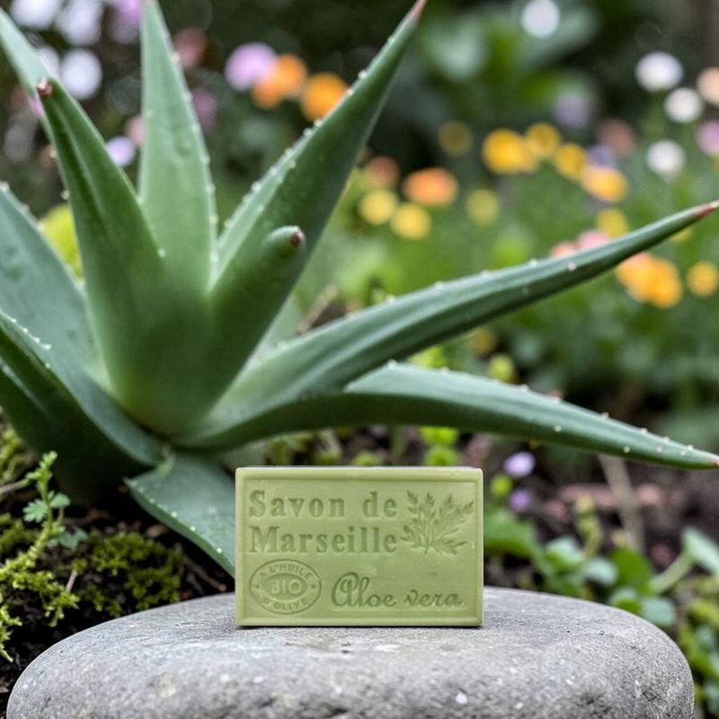 Marseille-saippua Aloe Vera 125 g