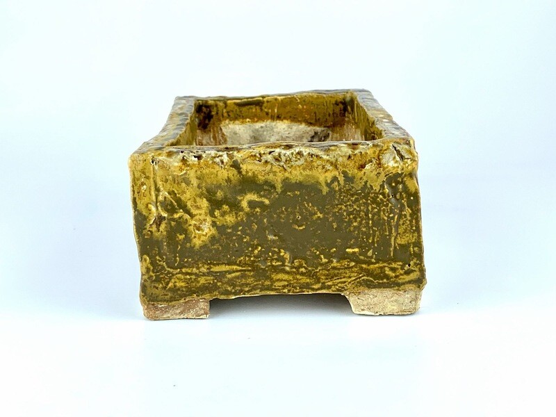 Bonsai Pot - Yellow