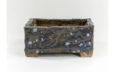 Bonsai Pot - Starlight