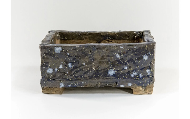 Bonsai Pot - Starlight