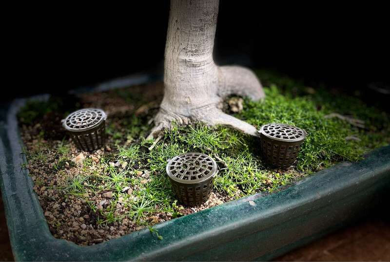 Bonsai Fertilizer Basket - Large