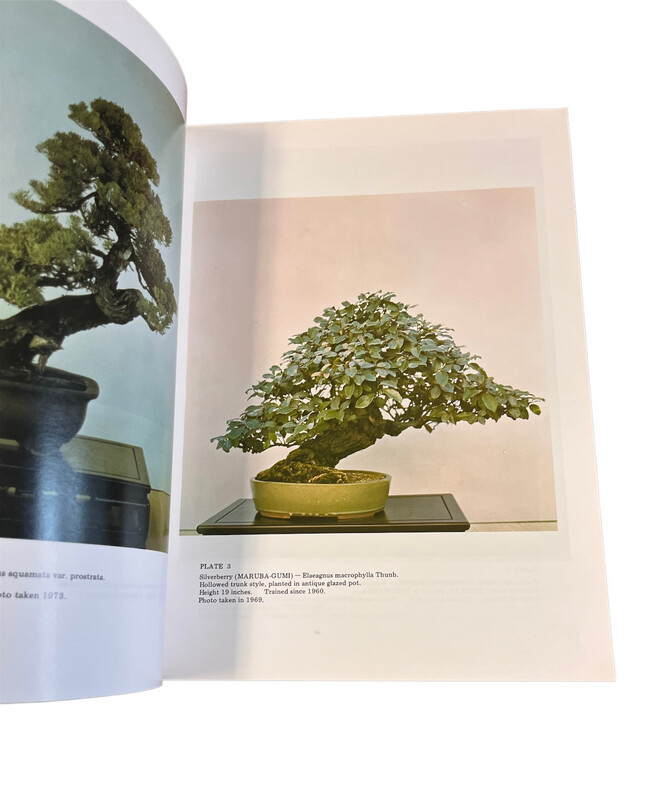 Bonsai Techniques I by John Naka