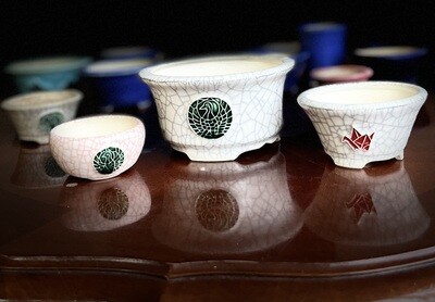 Japanese Bonsai Pots