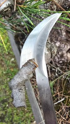 Bonsai Jinning Knife – 20cm| Precision Tool for Creating Natural Deadwood Effects