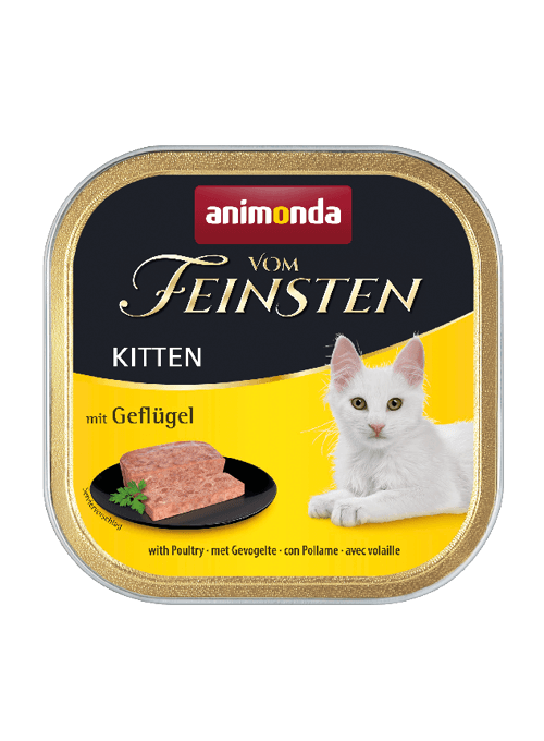 ANIMONDA Kitten Patè Pollo 100Gr