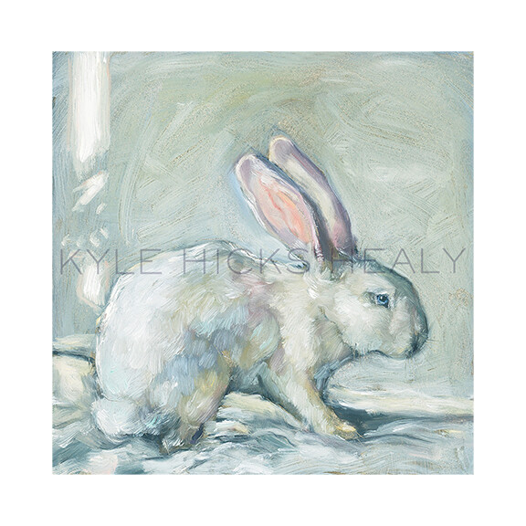 "rabbit, a study in white"