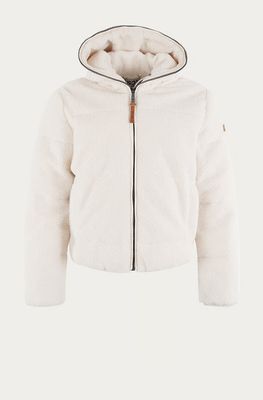MSCW jack teddy