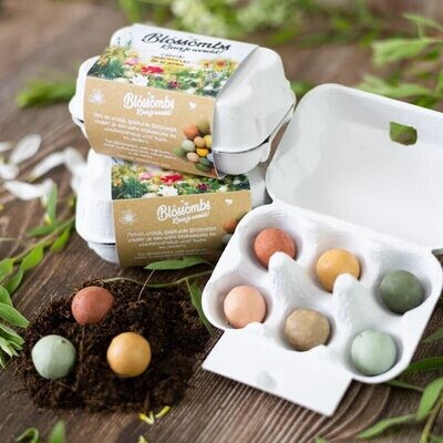 Blossombs EggBox-100004