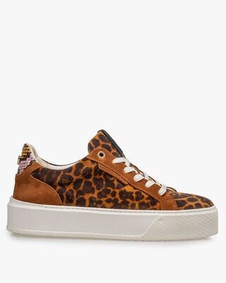 Floris van Bommel Winni 01.10 cognac