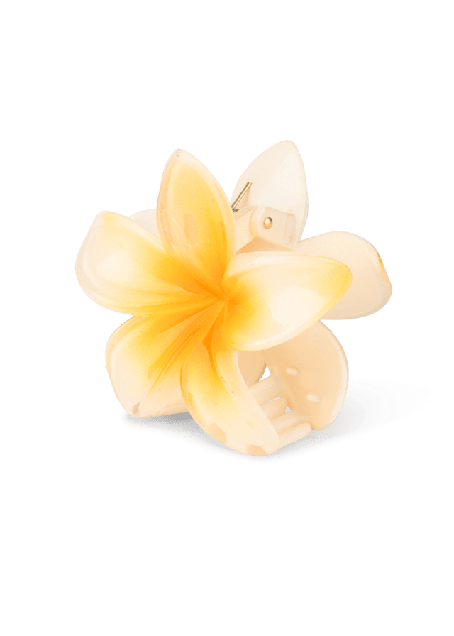 SUI AVA Plumeria Hawaii SA2402041 light yellow