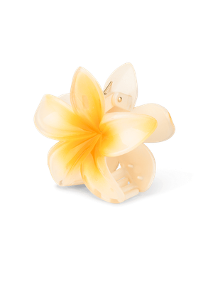 SUI AVA Plumeria Hawaii SA2402041 light yellow