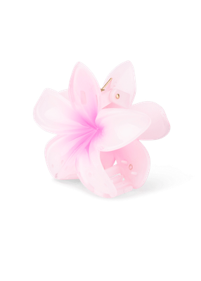 SUI AVA Plumeria Hawaii SA2402042 pink