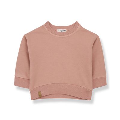 1 + in the family Esteban - coral 1 + in the family Esteban - coral