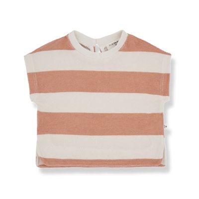 1 + in the family Mariella - coral 1 + in the family Mariella - coral