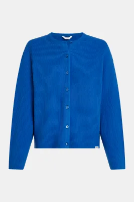 Penn&Ink W25B345 royal blue