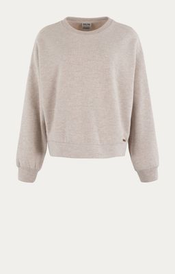 Moscow Holiday 78-04 Beige Solid