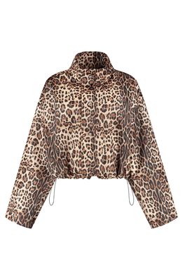 Studio Amaya Feline jacket - multi Studio Amaya Feline jacket - multi