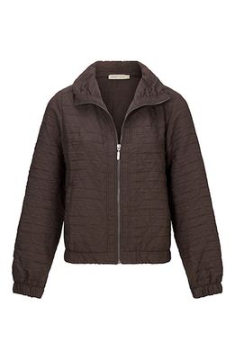 Dreamstar Ferris W25 207 Choco Dreamstar Ferris W25 207 Choco