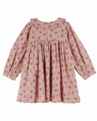 Emile et Ida AC045 aster