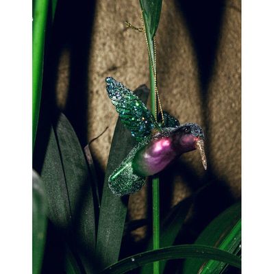 Vondels - hummingbird kolibrie groen/paars