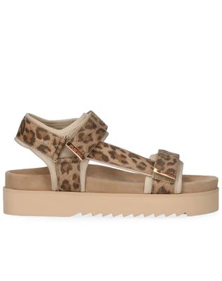 Maruti Beau 66.1653.01 Leopard Brown