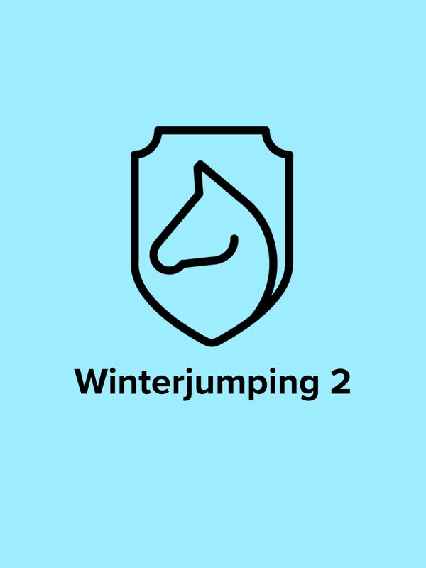 Winter Jumping 2