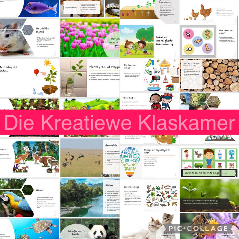 Natuurwetenskap Graad 4 Kwartaal 1 - PowerPoint