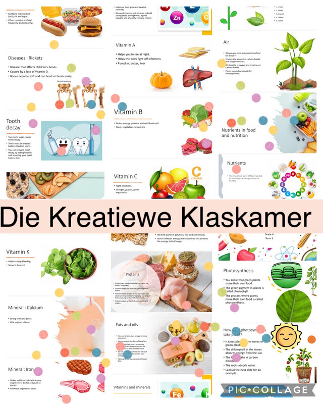 Natural Science Grade 6 Term 1 PowerPoint