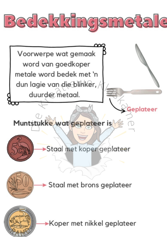 Natuurwetenskap Graad 5 Kwartaal 2 Plakkate