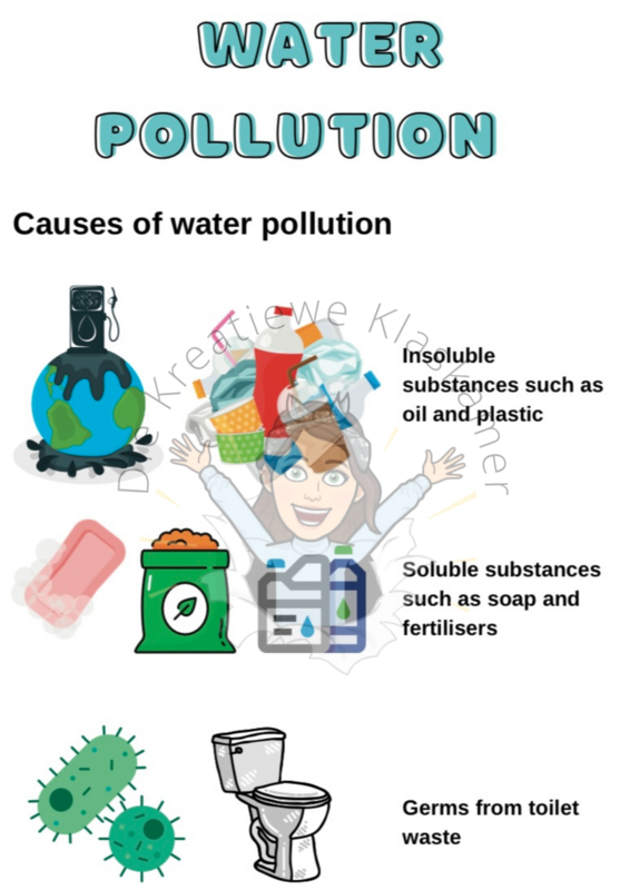 Natural Science Grade 6 Term 2 Posters