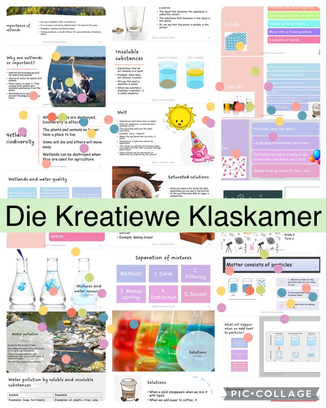 Natural Science Grade 6 Term 2 PowerPoint