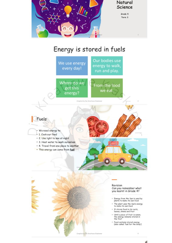 Natural Science Grade 5 Term 3 PowerPoint