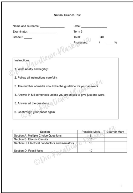 Natural Science Grade 6 Term 3 Test