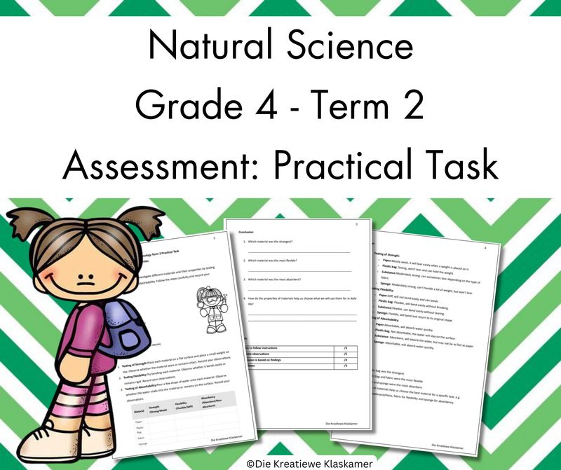 (2025) Natural Science Grade 4 Term 2 - Practical Task