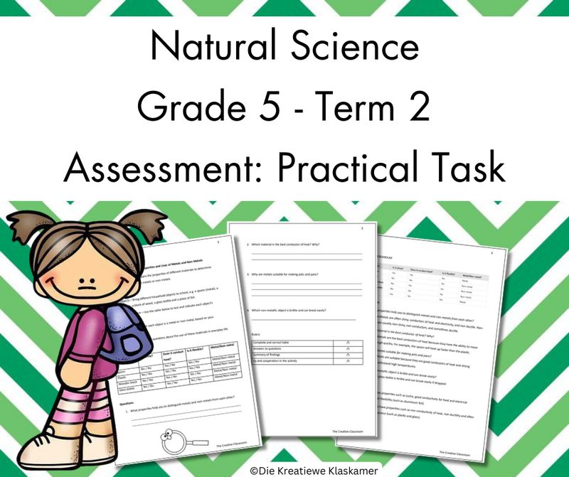 (2025) Natural Science Grade 5 Term 2 - Practical